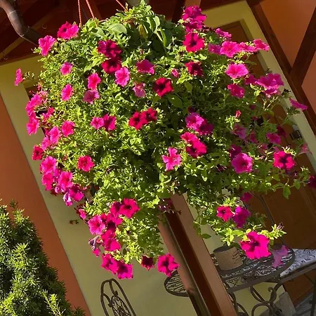 Apartment La Guccinela *